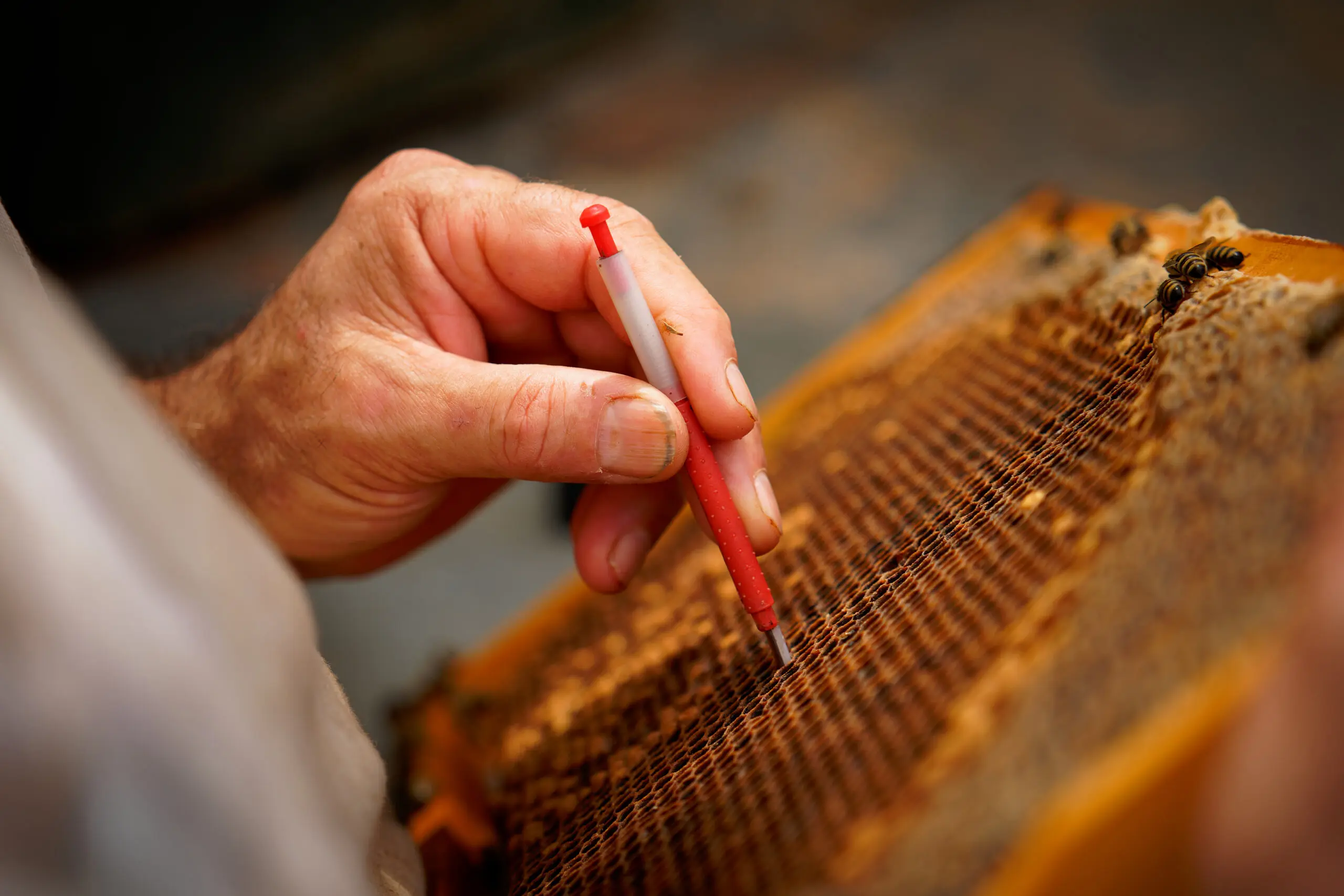 Commercial Beekeepers